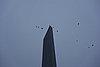 DSC01142.JPG