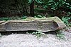 DSC01154.JPG