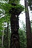 DSC01160.JPG