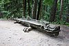 DSC01163.JPG
