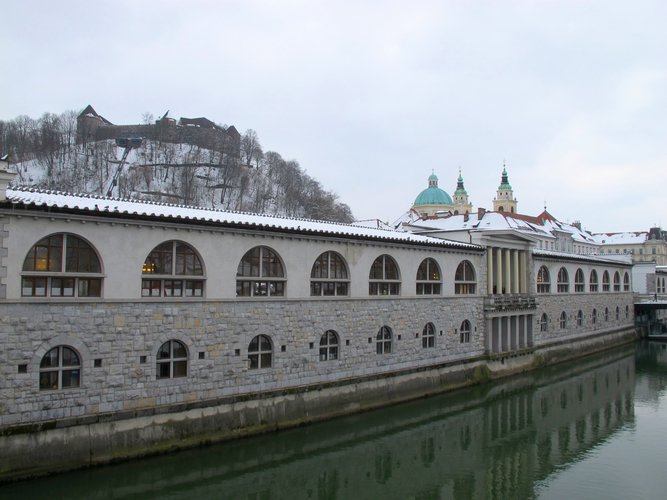 IMG_7794.JPG