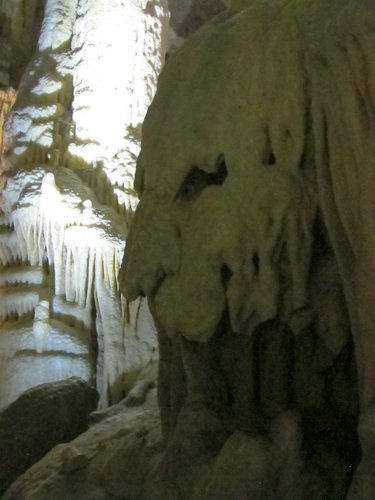 IMG_7999.JPG