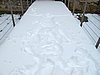IMG_7747.JPG