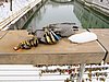 IMG_7787.JPG