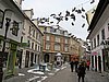 IMG_7800.JPG