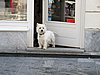 IMG_7825.JPG