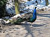 IMG_7834.JPG