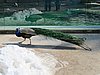 IMG_7835.JPG