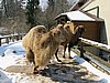 IMG_7841.JPG