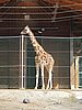 IMG_7843.JPG