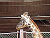 IMG_7844.JPG