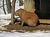 IMG_7847.JPG
