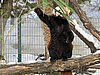 IMG_7854.JPG