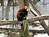 IMG_7858.JPG