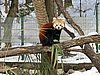 IMG_7860.JPG