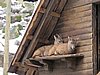IMG_7862.JPG
