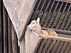 IMG_7864.JPG