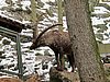 IMG_7865.JPG