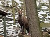 IMG_7867.JPG