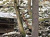 IMG_7868.JPG