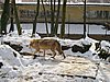 IMG_7870.JPG