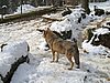 IMG_7871.JPG