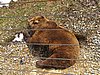IMG_7873.JPG