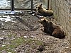 IMG_7874.JPG