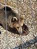 IMG_7876.JPG