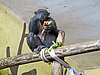 IMG_7880.JPG