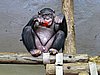 IMG_7883.JPG