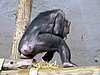 IMG_7885.JPG
