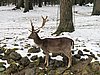 IMG_7887.JPG
