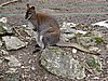 IMG_7888.JPG
