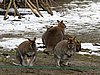 IMG_7889.JPG
