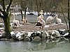 IMG_7890.JPG
