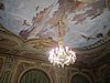 IMG_7926.JPG