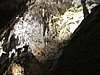 IMG_7948.JPG