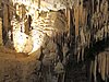 IMG_7977.JPG