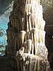 IMG_7978.JPG