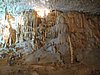 IMG_7979.JPG