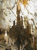 IMG_8007.JPG