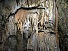 IMG_8018.JPG