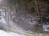 IMG_8038.JPG