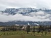 IMG_8062.JPG
