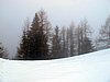 IMG_8079.JPG