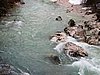 IMG_8104.JPG