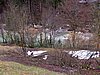 IMG_8106.JPG
