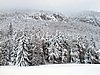 IMG_8111.JPG