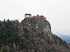 IMG_8137.JPG
